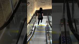 colourful sandstone wall 2023 Schindler escalators at mascot station Bourke St NSW [upl. by Eciryt21]