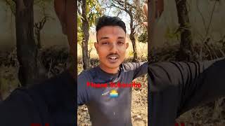 🌹 kuni nahi Dil Yash anlay vadun sarya sankatashi as ladhun viral [upl. by Ayela630]