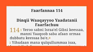 113 Macaafa faarfannaa boqonnaa 109 hanga 118  Daansee Asaffaa tiin [upl. by Legna]