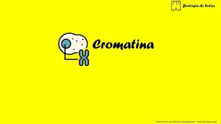 Cromatina [upl. by Attevaj]