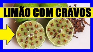 🔴 LIMÃO com CRAVO Repelente de moscas [upl. by Jereld842]