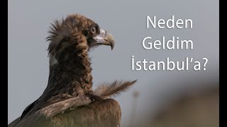 Neden Geldim İstanbula [upl. by Namolos92]