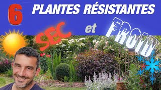 PLANTES VIVACES RESISTANTES au SEC et au FROID [upl. by Ailecec]