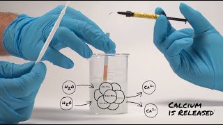 Testing The Alkaline pH of TheraCal LC [upl. by Ayouqat175]