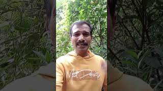 Jil mil ചിന്നും വെൺ താരത്തിൻ Hindhi song [upl. by Ahsyle]