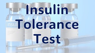 Insulin Tolerance Test [upl. by Derf765]