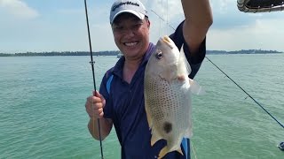 The Four Kings of Ubin ONZZ Ep 19  Fishing Singapores Northern Waters [upl. by Pierre706]