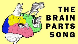 Parts of the Brain Song [upl. by Boudreaux]