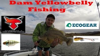 Big Yellowbelly Fishing Windermere [upl. by Adnuhser474]