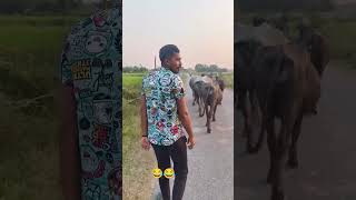 Bhai iPhone chal rahe hai samne 🤣😂😂viralvideo gaon [upl. by Hume]