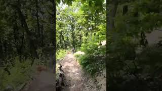 ebike haibike mtb rider bikelife trail fpvdrone [upl. by Devon]