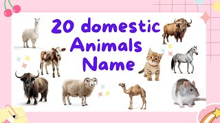 20 domestic animals name domestic animals name in english and hindi paltu janvarBrainybunch55 [upl. by Nhoj]