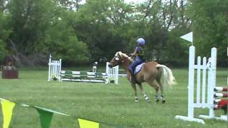 My worst fall ever Horse Bucking and Bolting [upl. by Enrobyalc]