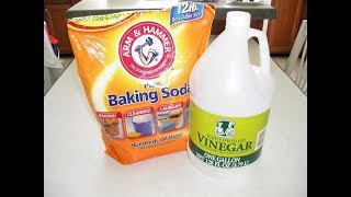 ✨ How To Clean a Washing Machine with Vinegar and Baking Soda ✨ [upl. by Rockel558]