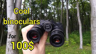 I Found the BEST Binoculars for Hunting SvBony sv202 8x32 [upl. by Akihsal]