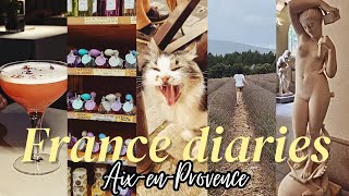 AixenProvence  lavender fields museums and cute villages❤️🪻 [upl. by Ydak]