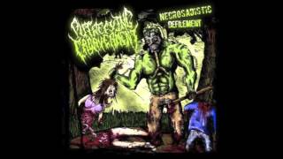 Putrefying Cadaverment  Necrosadistic Defilement Full Album 2008 HD [upl. by Dam]