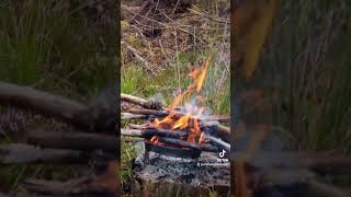 Camping in HEAVY rain in the Tentsile tree tent camping campingintherain treetent wildcamping [upl. by Niram]