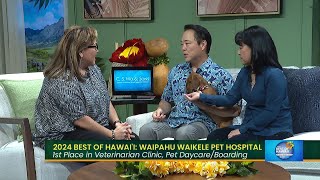 2024 Best of Hawaii Waipahu Waikele Pet Hospital [upl. by Mcdermott]