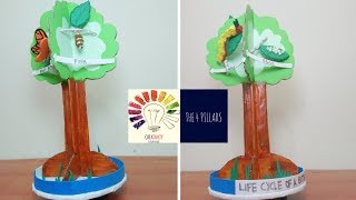 Life Cycle Of A Butterfly Model  Metamorphosis in Butterfly  Students 3D Project  The4Pillars [upl. by Bowe]