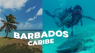 AS BELEZAS DE BARBADOS NO CARIBE  Rodrigo Ruas [upl. by Adnovad893]