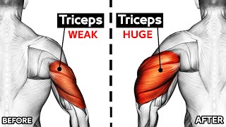 How To Build Your WIDER Triceps workout AT GYM Effective Exercises [upl. by Nawoj632]