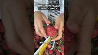 MANFAAT DAN KHASIAT BUAH LECILHYCE manfaatdankhasiatbuahlecilhyce buahleci buah leci lhyce [upl. by Urata]