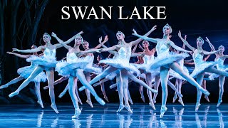 Swan Lake  The State Ballet of Georgia 2024 [upl. by Quintina]