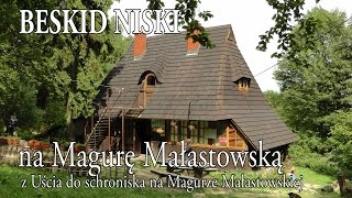 🇵🇱 BESKID NISKI » z Uścia Gorl do schroniska na Magurze Małastowskiej [upl. by Wichman]