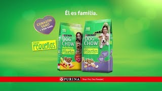 Comercial Dog Chow Razas Pequeñas  2018 [upl. by Enohpets]