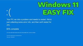 How To Fix Fatal Error Blue Screen of Death in Windows [upl. by Jennings]