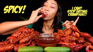 Mukbang  SPICY LOUISIANA CRAWFISH BOIL 🦀🦀  How To Eat Crawfish [upl. by Reggy]