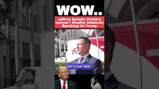 Jeffrey Epstein Victims Lawyer Speak On Donald Trump [upl. by Hammad887]