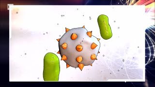 Il tumore sconfitto dal corpo  Superquark 16082017 [upl. by Ezirtaeb]