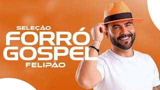 FELIPÃO SELEÇÃO FORRÓ GOSPEL AS MAIS TOCADAS💥🔊🎶 [upl. by Willin107]