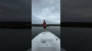 Nice flounder on Zman MinnowZ while speckled trout fishing inshorefishing fishing fish flounder [upl. by Ylrebmit]