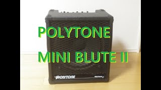 POLYTONE MINI BLUTE II 2 試奏レビュー。ポリトーン ミニブルート 2。説明欄にて取扱説明書あり [upl. by Conley493]