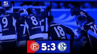 Fortuna Düsseldorf  FC Schalke 04 53  Tore amp Highlights  Stadion Reaktion [upl. by Ahsinan735]