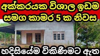 අක්කරයක ඉඩම හා නිවස ඉක්මණින් විකිණේ  House for sale  Land for sale  Aduwata idam  idam sale [upl. by Olinde]