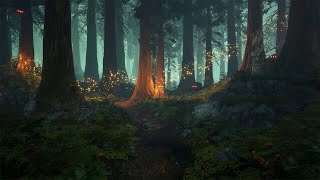 Enchanted Forest  Music amp Ambience ✨🌲🧚🏻 [upl. by Jariah990]