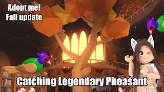 Catching the NEW legendary Pheasant 🍁 FALL WEATHER UPDATE in Adopt me Roblox [upl. by Hsur]