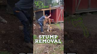 STUBBORN STUMP REMOVAL diy landscape outdoors [upl. by Nnagem604]