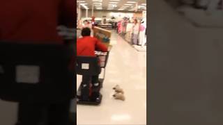 WE RACED SHOPPING CARTS IN THE MALL [upl. by Auot]