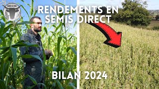 BILAN des RECOLTES 2024 SEMIS DIRECT [upl. by Ahsiken]