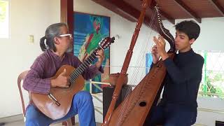 Joropo Pajarillo con Chipola y Revuelta GUITARPA Dúo Néstor Viloria y Bernardo Viloria [upl. by Winfrid]