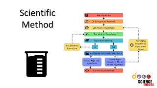 The Scientific Method Steps and Examples [upl. by Frazier]