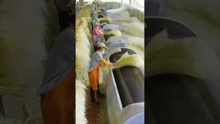 Sisal Soles Processing Full Video handmade natural shoes [upl. by Freytag]