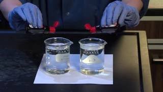 Diffusion and Osmosis  For Teachers [upl. by Gottwald883]