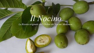 Il Nocino Modenese [upl. by Novaj]