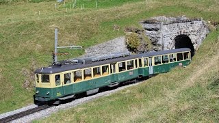 WengernAlpBahn im Sommer 2014  Güterzüge und alte Triebwagen [upl. by Ardolino]